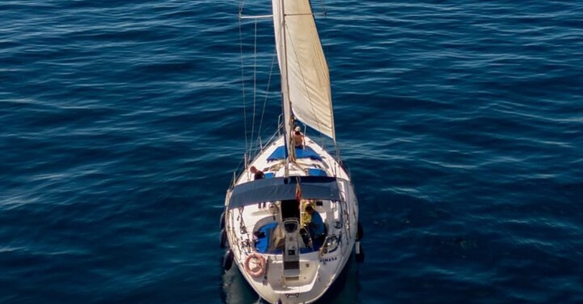 Excursión en velero compartido para descubrir calderones en Tenerife