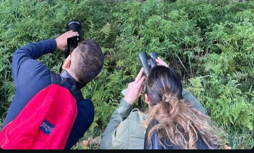 Image 38: Sydney Guided Wildlife Walk Explore Birds and Nature