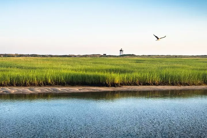 National Seashore Tour with Guided Hike - Primary Image