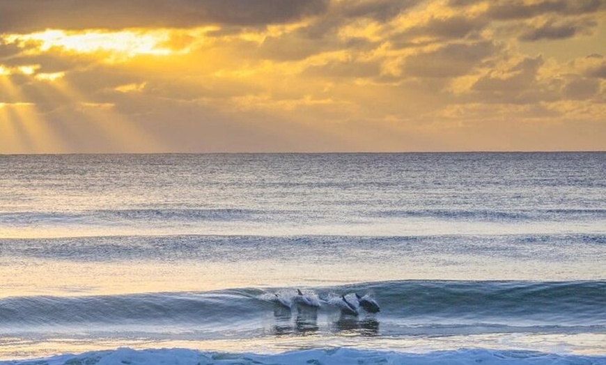 Image 7: From Sydney Private Tour of Waterfalls Wineries and Wildlife