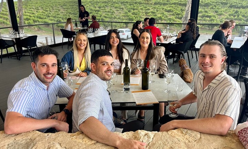 Image 5: McLaren Vale Private Tour inc Premium Lunch & d'Arenberg Cube