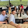 Image 5: McLaren Vale Private Tour inc Premium Lunch & d'Arenberg Cube