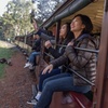 Image 3: Puffing Billy Steam Train Rainforest Tour and Yarra Valley Treats