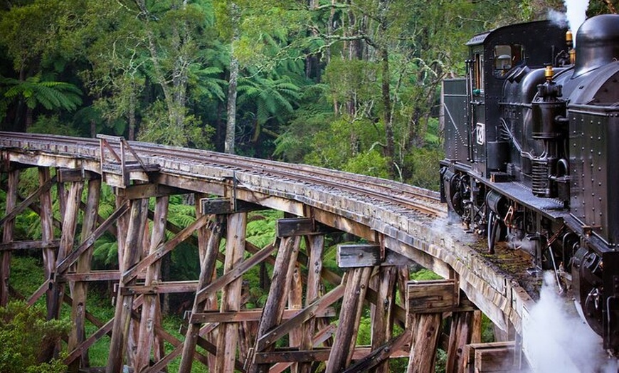 Image 4: Private Puffing Billy Steam Train and Healesville Sanctuary Tours