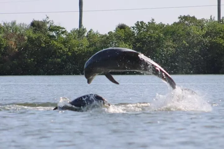 Easy Ride Pedal Kayak Tour Marco Island & Naples (Pedal or Paddle