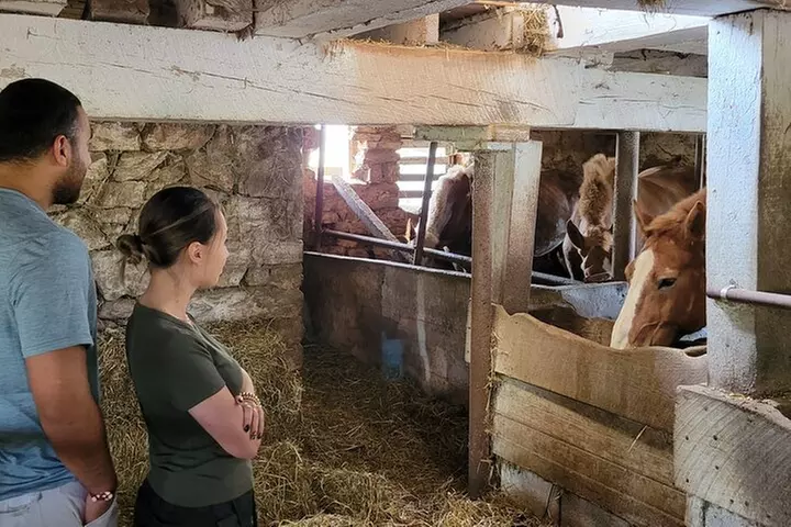 Authentic Tour & Meal with the Amish!