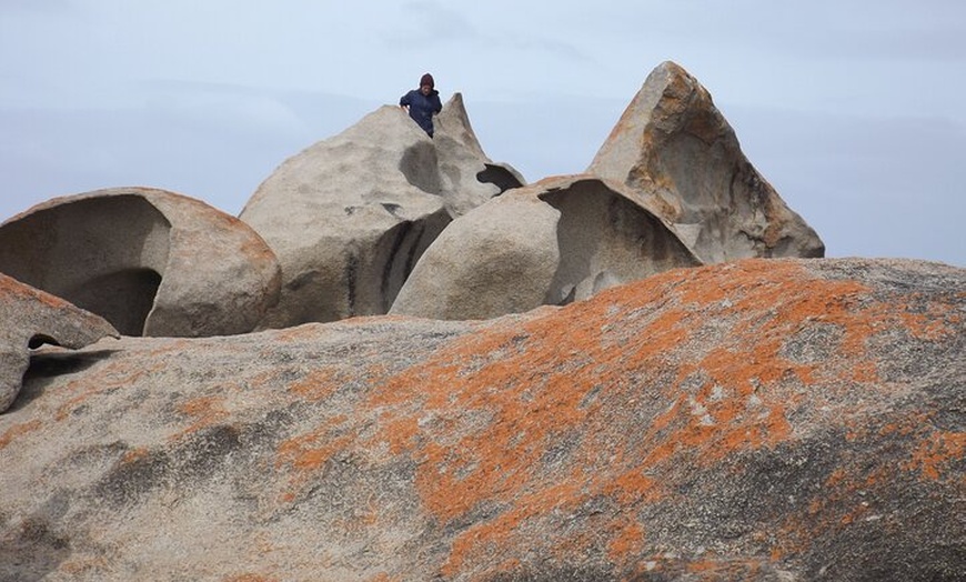 Image 6: Cruise Ship Flinders Chase Tour
