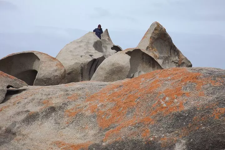 Cruise Ship Flinders Chase Tour - Image 6
