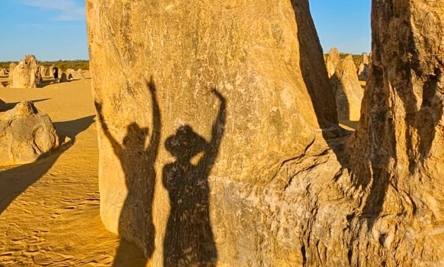 Image 3: 4WD Pinnacles Desert Turquoise Coast and Sand Boarding Adventure