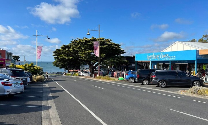 Image 5: Melbourne Phillip Island Private Tour with Penguin