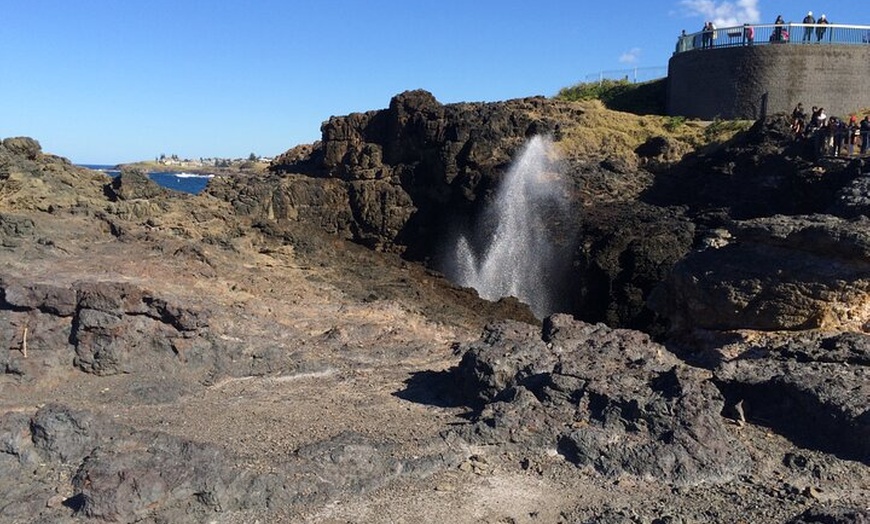 Image 7: Grand Pacific Drive and Southern Highlands Tour