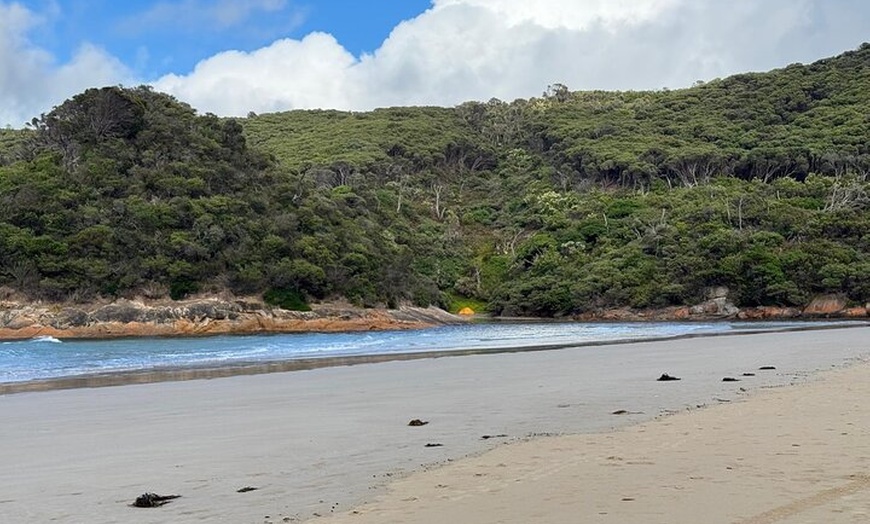 Image 5: Melbourne: Private Wilson Promontory National Park Day Tours