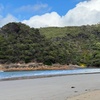 Image 5: Melbourne: Private Wilson Promontory National Park Day Tours