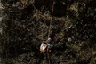 Waterfall Rappelling at Kulaniapia Falls: 120 Foot Drop, 15 Minutes from Hilo - Second Medium