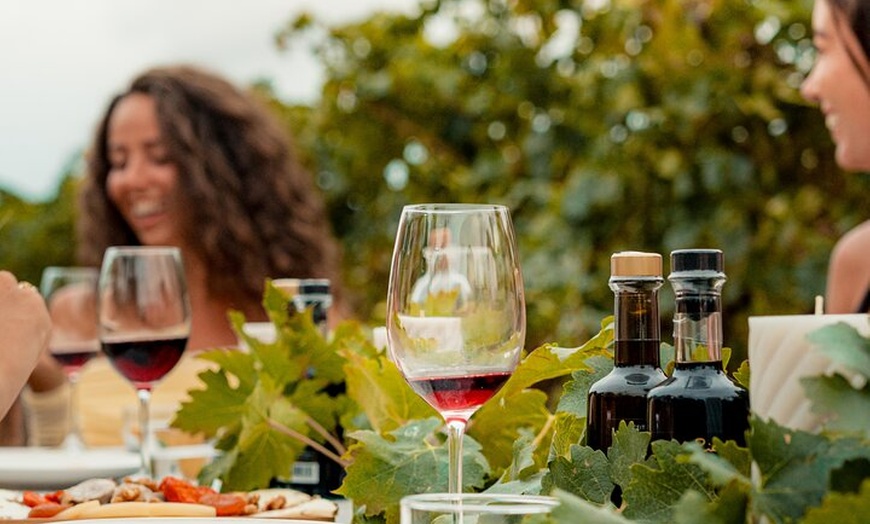 Image 3: Ibiza : Cata privada de vinos y aceites de oliva y Tapas y transporte