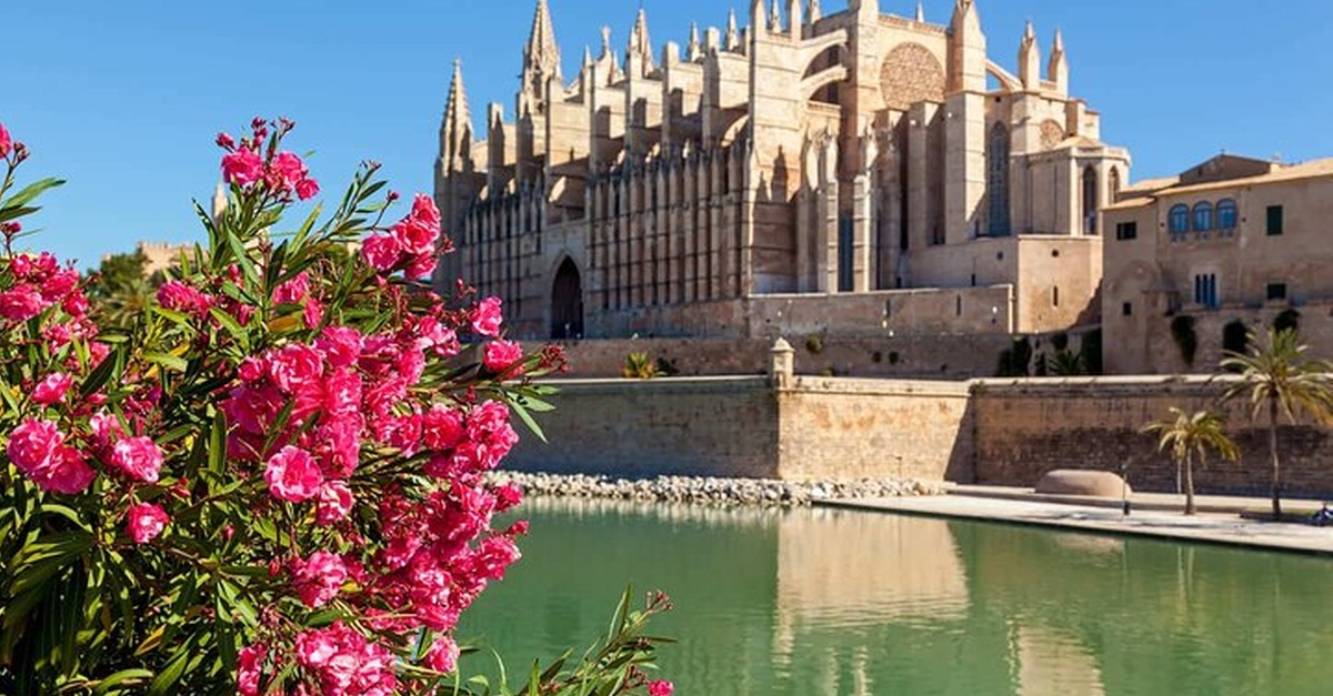 Paseo privado de 2 horas por Palma de Mallorca con guía local
