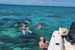 Half Day Snorkel/Sandbar Excursion - Second Medium