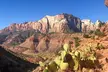 Half Day Guided Hike in Zion National Park - Second Medium