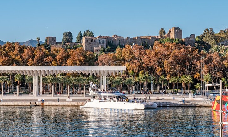 Image 1: Málaga con Catamarán y Mijas pueblo desde Estepona y Marbella