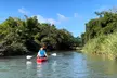 Explore Luquillo by Kayak: Nature and Adventure in Mameyes River - Second Medium
