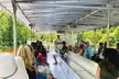 New Orleans Swamp & Bayou Alligator Tour - Second Medium