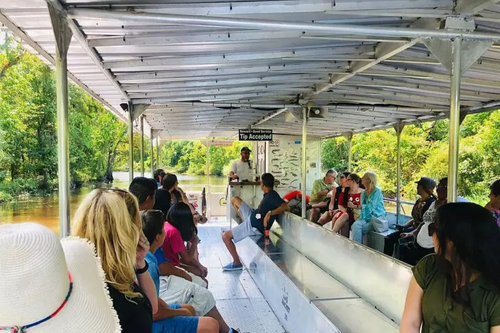 New Orleans Swamp and Bayou Alligator Tour