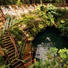 Image 23: Small Group 3 Waterfall Cenotes Experience