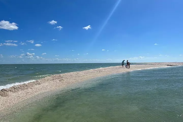 Dolphin and Shelling Cruise for up to 12 people