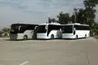 Private Cruise Port Transfer from MIA Airport or Any Miami Hotel - Second Medium