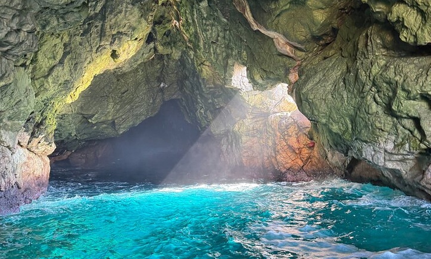 Image 6: Maria Island 3 hours and 30 mins Scenic Cruise