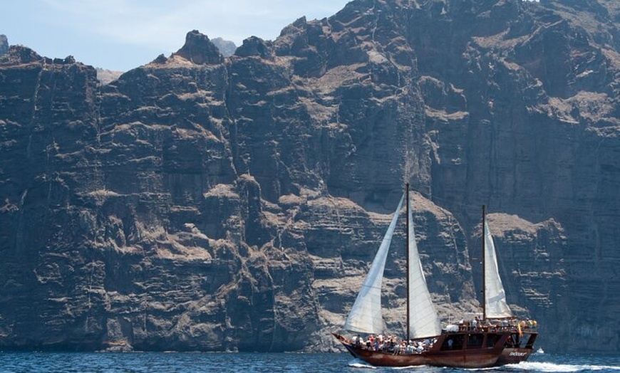 Image 8: Safari de ballenas hasta Los Gigantes con recogida desde Norte