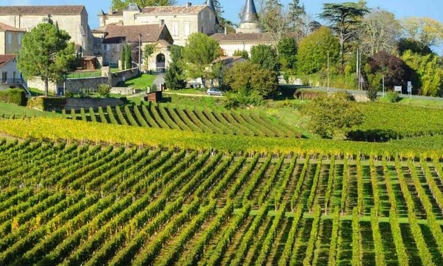 Image 6: Excursion d'une journée complète de Bordeaux à Saint Émilion avec d...
