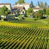 Image 6: Excursion d'une journée complète de Bordeaux à Saint Émilion avec d...