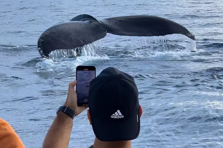 Oahu Boat Tour Ko Olina Experience - Primary Image