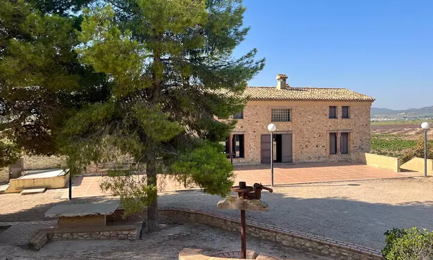 Image 5: Bodega Premium con 7 Catas y Castillo desde Alicante y Benidorm