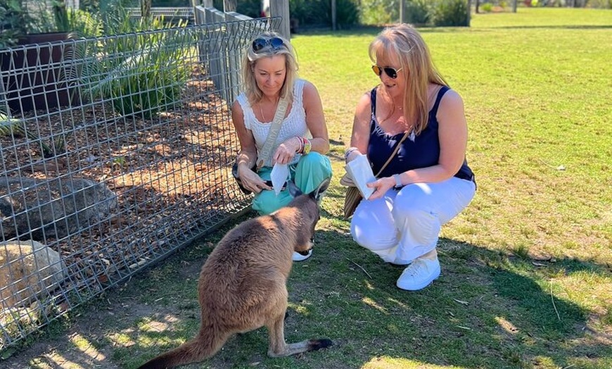Image 10: South Coast Private Tour & Royal National Park Inc