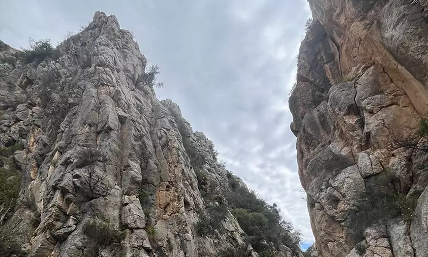 Image 12: Tu Tour Privado en Van Por La Costa Blanca