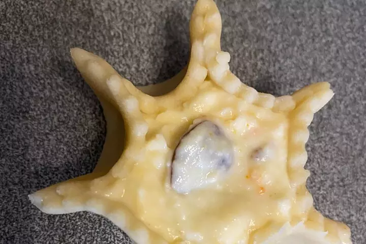 Half Day Sardinian Pasta Classes with Dining and Latin Dance