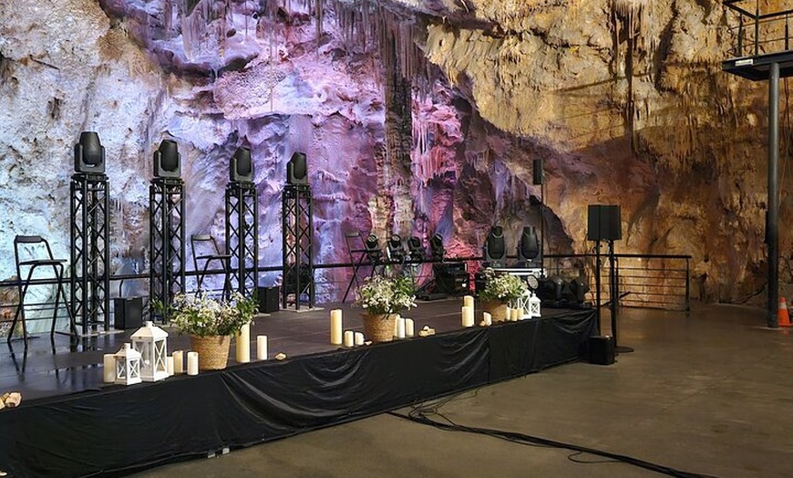 Image 6: Excursión a las cuevas de Canelobre y Busot con traslado desde Alic...