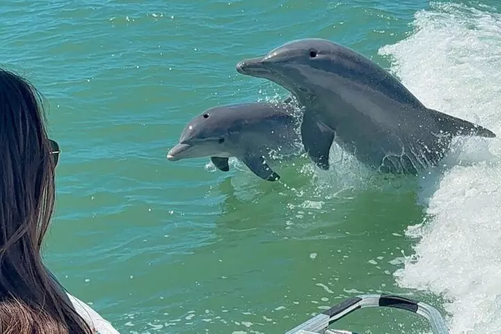 Clearwater Beach Private Pontoon Boat Tours