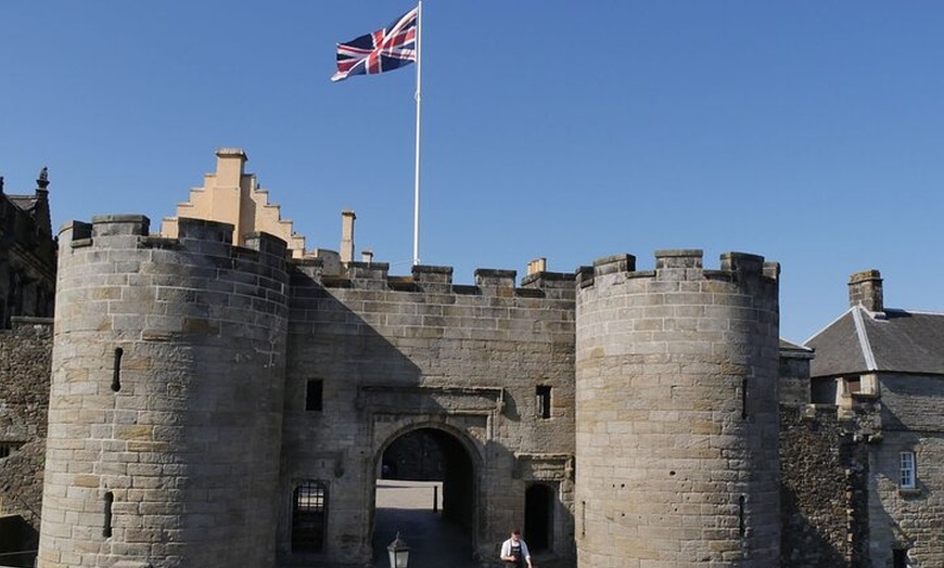 Image 5: The Highland Cows Experience in Scotland