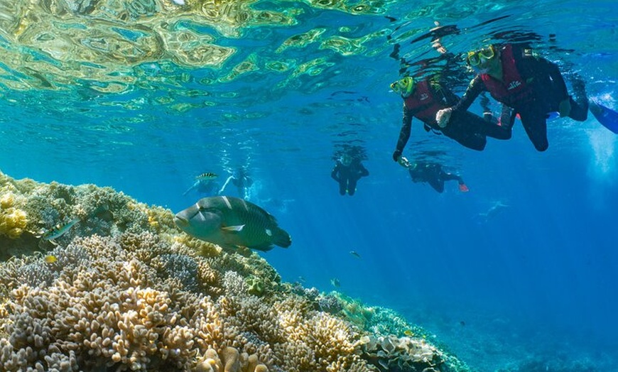 Image 3: Sunlover Reef Cruises Cairns Great Barrier Reef Experience