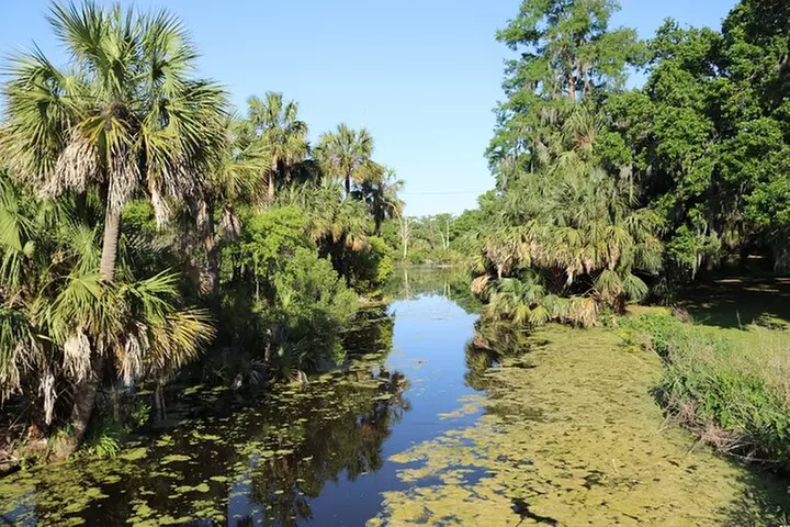 New Orleans City and Cemetery 2-Hour Bus Tour