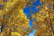 Discover Rocky Mountain National Park - Second Medium