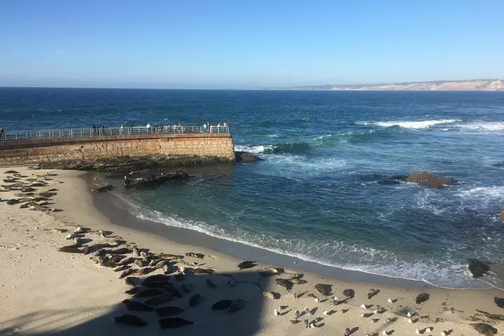 Cali Dreaming Electric Bike Tour of La Jolla and Pacific Beach