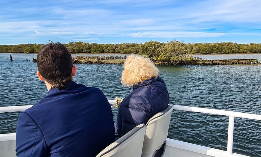 Image 9: 90 Minute Port River Dolphin & Ships Graveyard Cruise