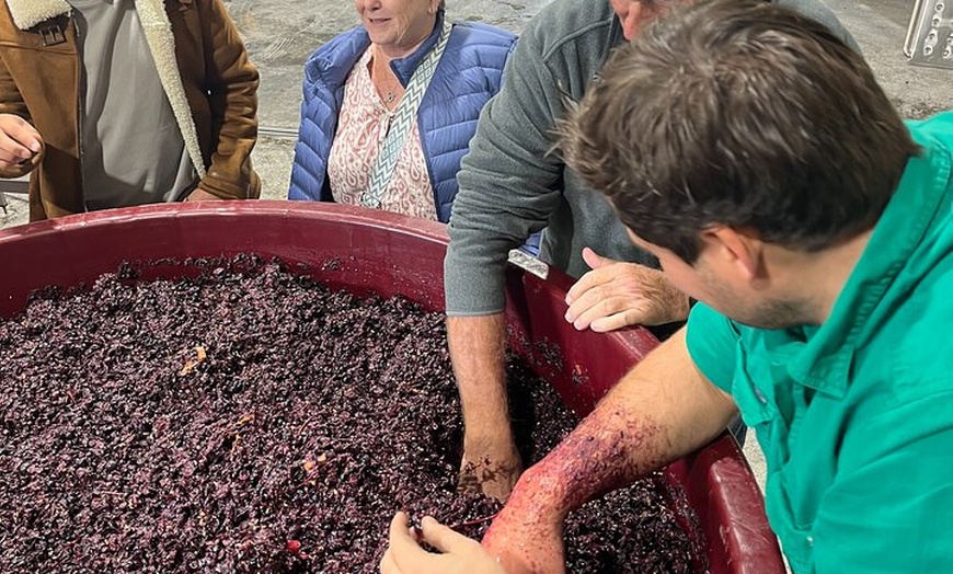 Image 2: Private Wine Tasting Experience