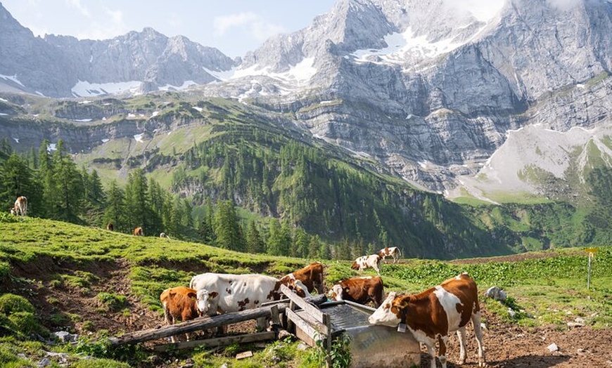 Image 8: Munich Loop - Zweitägiger Alpen Roadtrip im Cabrio
