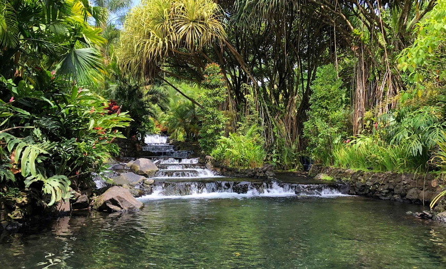 Image 20: ✈ COSTA RICA | San José - Fuga verde in Costa Rica - Viaggio on the...