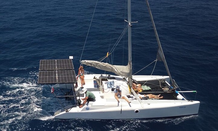 Image 9: Excursiones ecológicas en Catamarán en Gran Canaria